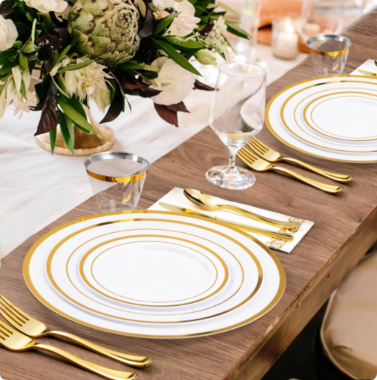 12 inch dinner plate