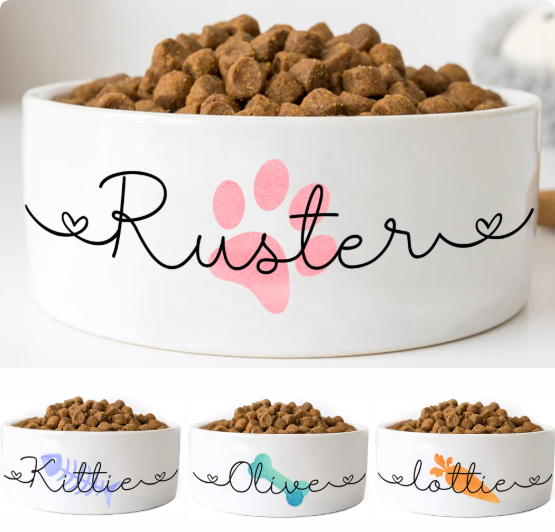 elevated ceramic pet bowls with name