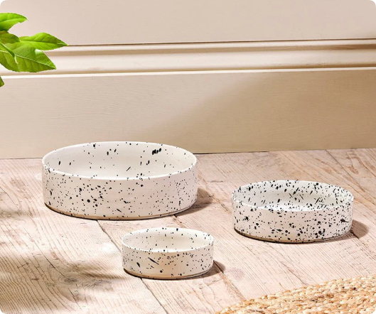 pet ceramic bowl