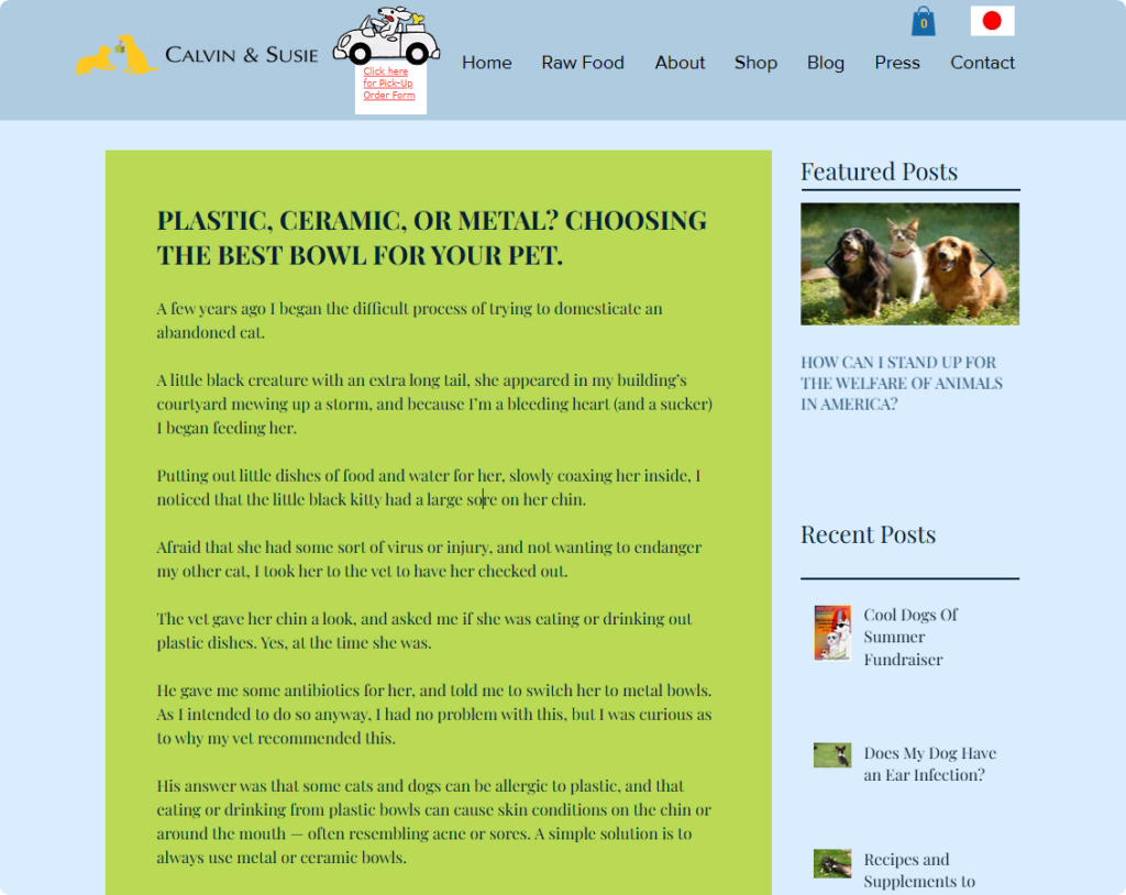 plastic ceramic or metal choosing the best bowl for your pet