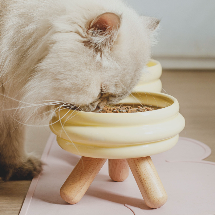 porcelain pet bowl with wooden footer