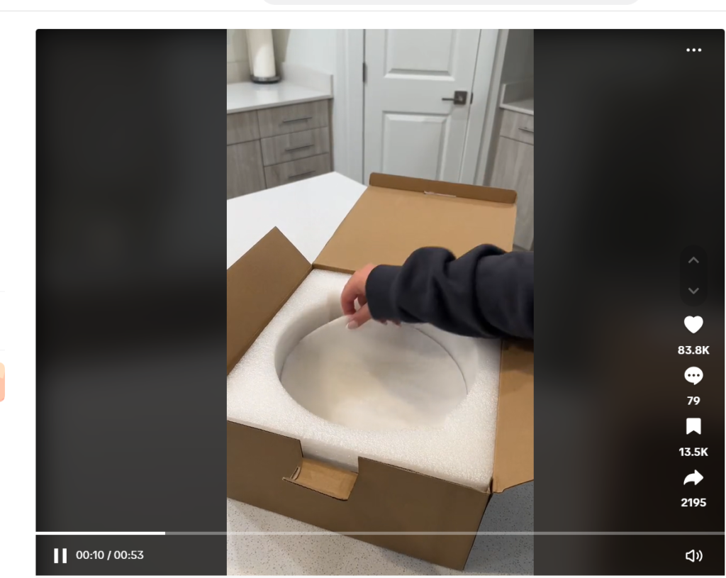 tiktok dinnerware