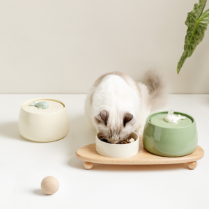 hot selling pet ceramic bowl tall slant flat raised bowl for cats and dogs ceramic pet bowls and feeders (copy)