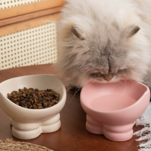 wholesale oem cat bowls logo ceramic dog bowl porcelain pet bowl with wooden footer (copy)