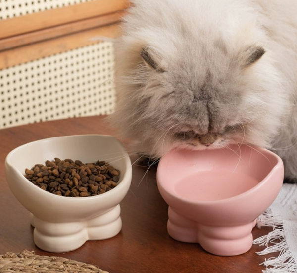 wholesale oem cat bowls logo ceramic dog bowl porcelain pet bowl with wooden footer (copy)