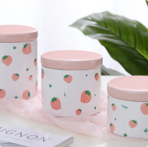 INS Creative Simple Cute Ceramic Storage Jar with Sealed Lid Freshly Designed Food Storage Jar for Coffee Beans Tea Kitchen Use