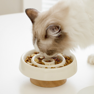 high quality custom logo elevated raised tilted non slip feeding food water drinking pet dog cat ceramic bowl (copy)