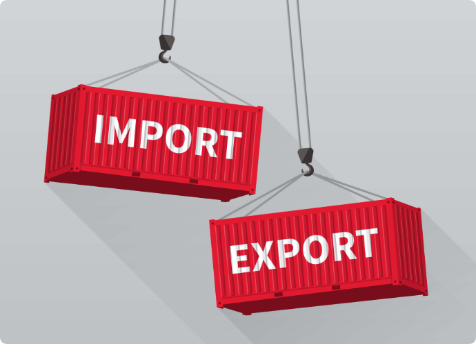 how importers and exporters can adapt