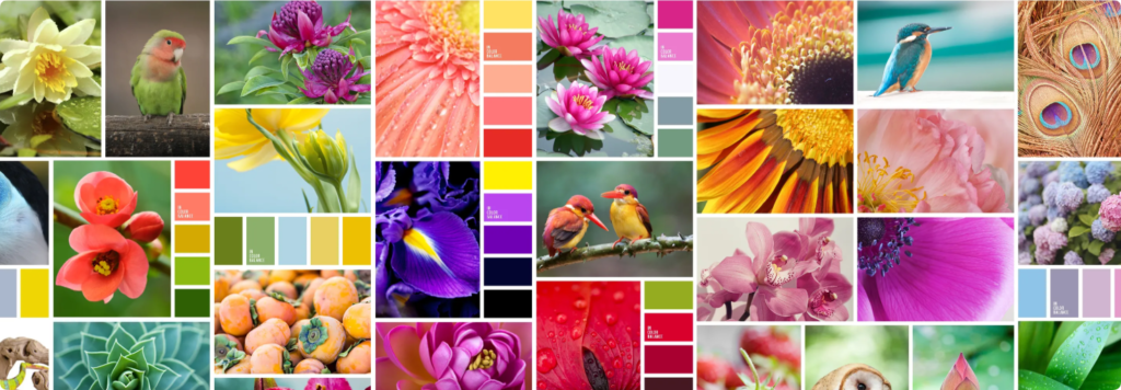 nature colors