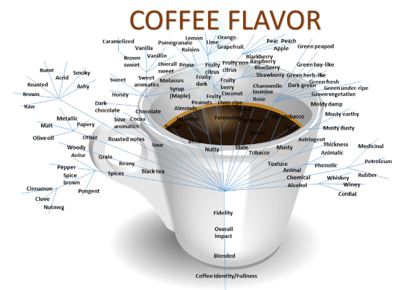 coffee flavor