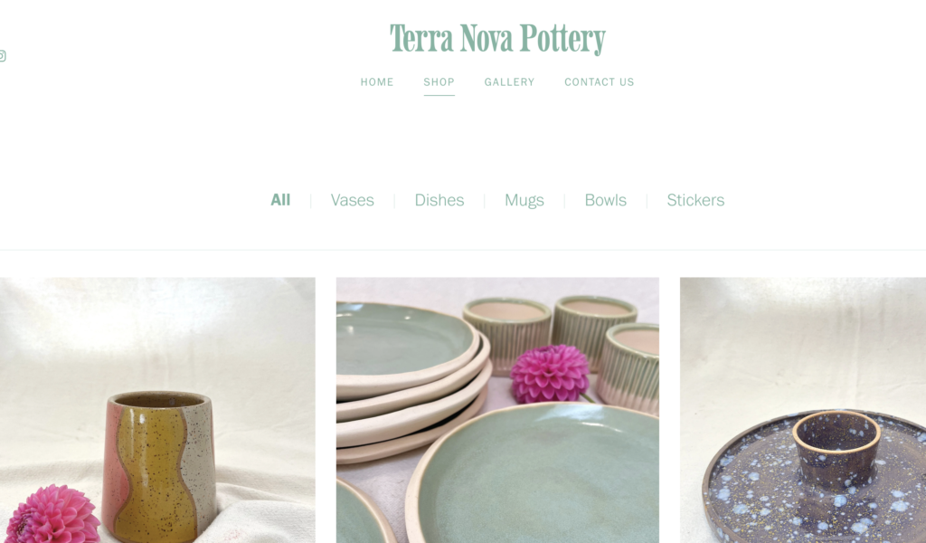 terra nova pottery